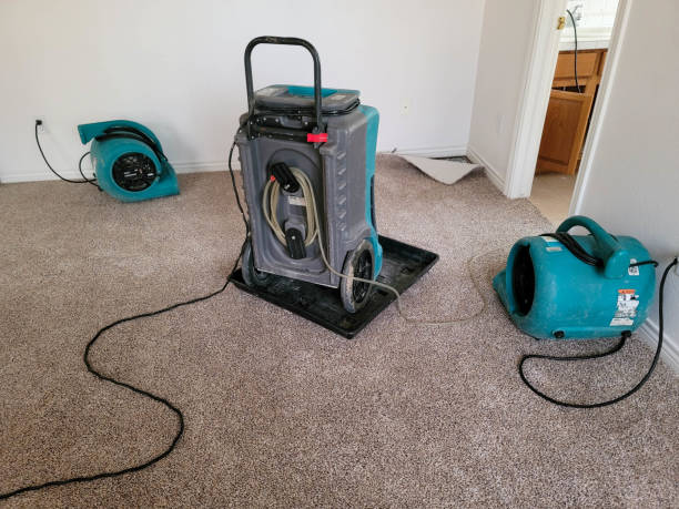 Best Water damage restoration specialists  in Burbank, IL