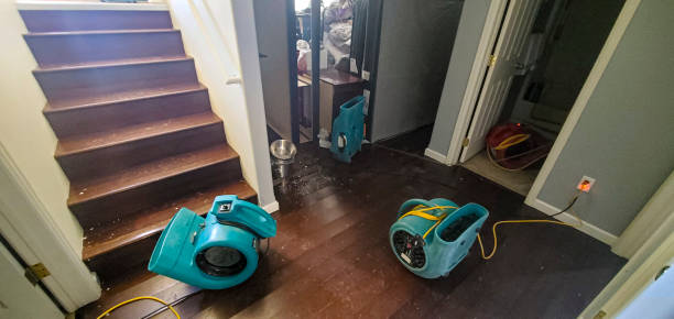Best Water damage restoration near me  in Burbank, IL