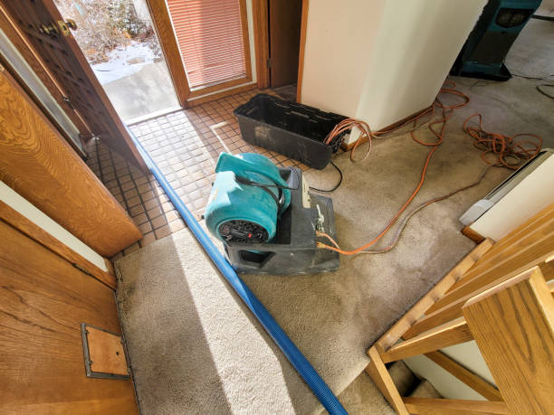 Water damage restoration insurance claims in Burbank, IL