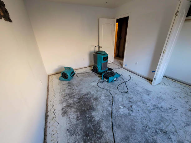 Best Water damage cleanup near me  in Burbank, IL
