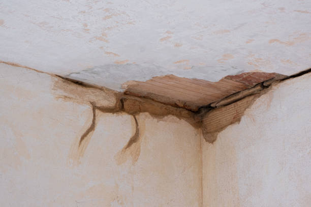Best Local water damage restoration  in Burbank, IL