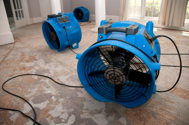 Best Professional water damage repair  in Burbank, IL