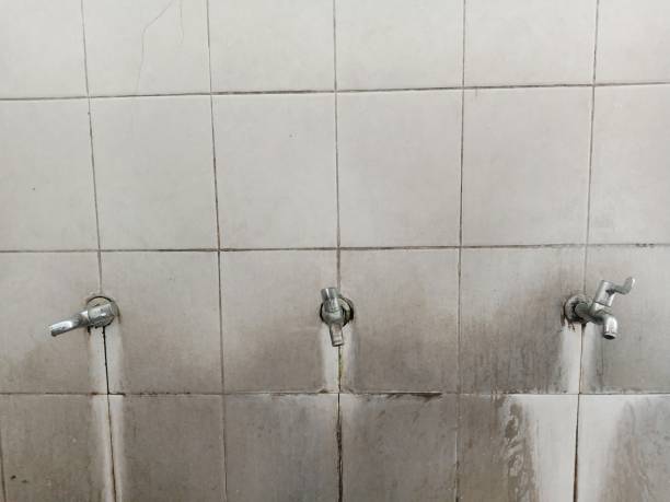 Water damage restoration mold remediation in Burbank, IL