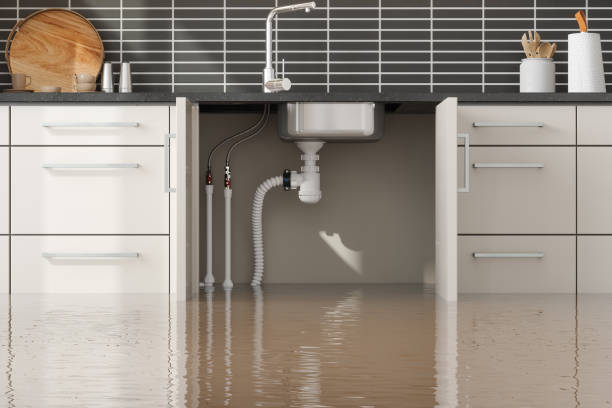 Best Commercial water damage restoration  in Burbank, IL