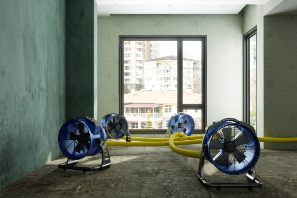 Best Emergency water extraction  in Burbank, IL