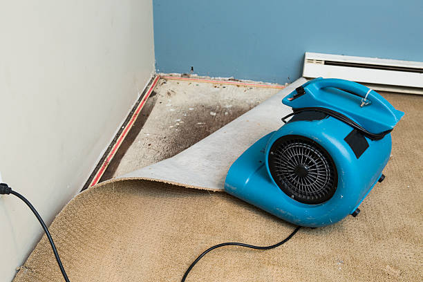 Best Emergency water damage restoration  in Burbank, IL